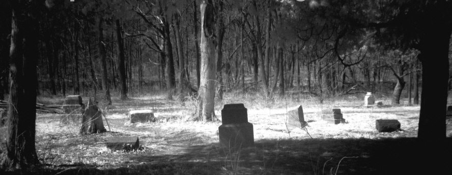 Sex In The Cemetery Unsettling Stories 